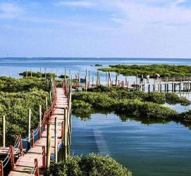 南充旅游哪里好玩(云南旅游哪里好玩)