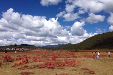 南充旅游去处(暑期最好的旅游去处)