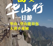 南充一日游(一日游需要准备些什么东西?)