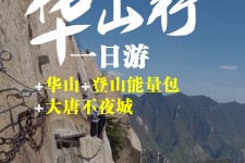 南充一日游(一日游需要准备些什么东西?)