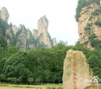 南充自驾旅游攻略(自驾旅游攻略app排行榜)