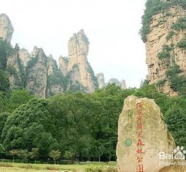 南充自驾旅游攻略(自驾旅游攻略app排行榜)