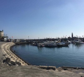 南充大连旅游攻略(大连旅游攻略自由行)