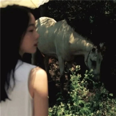 南充私家伴游让你拥有一次完美的旅游体验
