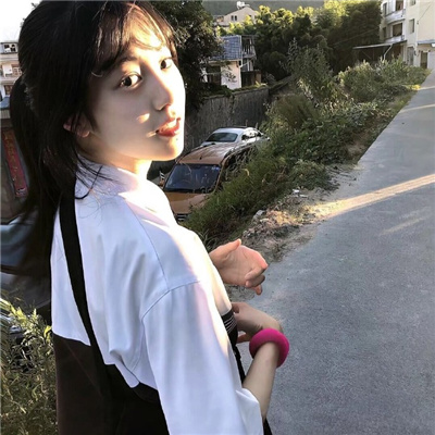 南充 商务伴游市场调研及发展趋势分析