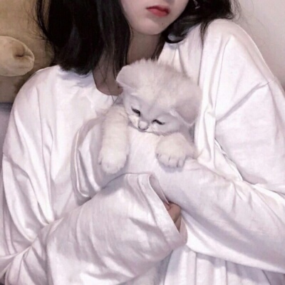 南充伴游女生蕾鮑的资料